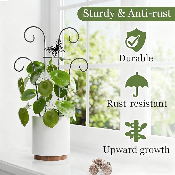 Indoor Plant Trellis for Climbing Plants, Stackable Garden Trellis for Potted - Image 4