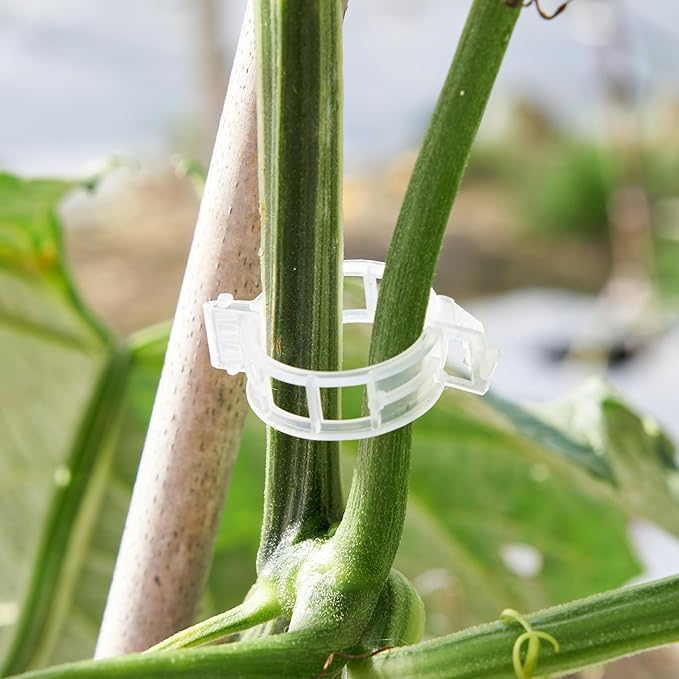 300 Pcs Plant Support Clips, Plastic Clips - Image 4