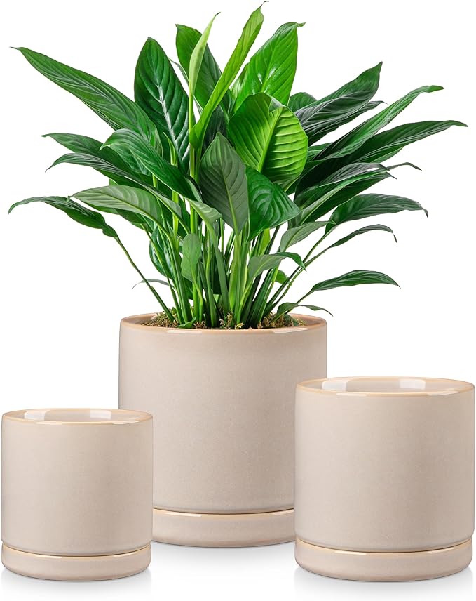 vancasso Ceramic Plant Pots, 3 Piece Planters by vancasso