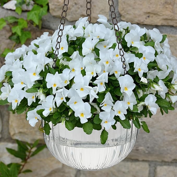 Meanplan 4 Pcs Self Watering Hanging Planter Indoor 6.5 Inch Hanging Baskets - Image 7