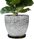 10 Inch Plant Pot by EPFamily