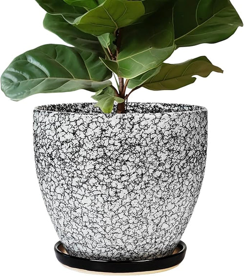 10 Inch Plant Pot by EPFamily