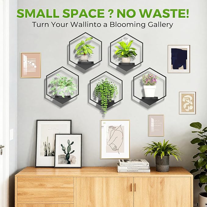 Wall Planters for Indoor Plants 5 Pack, Plant Frames Wall Decor Living Room - Image 6