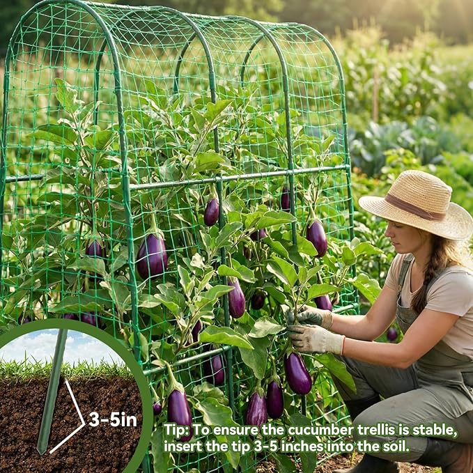 2 Pack Cucumber Trellis for Raised Bed, U-Shape Garden Trellis for Climbing - Image 3