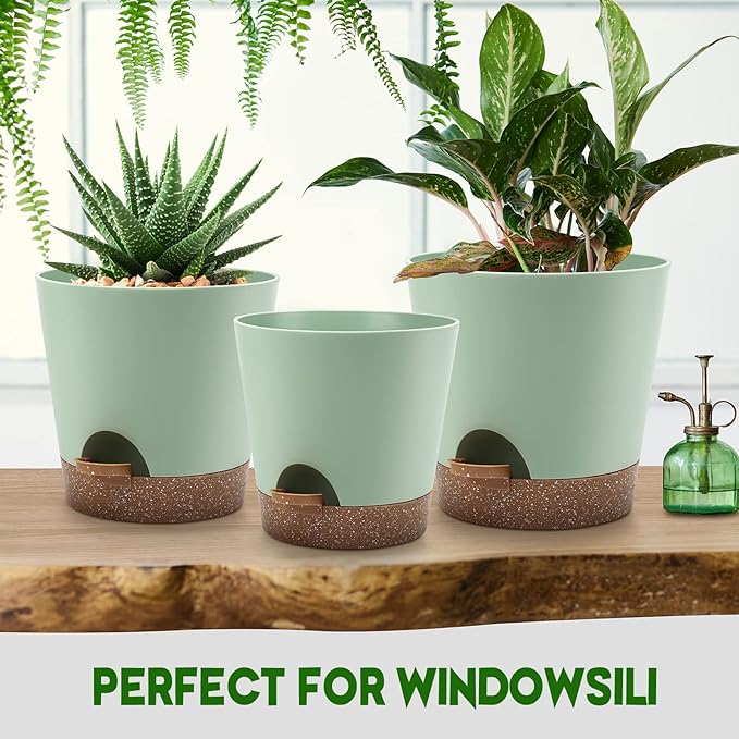 Indoor Self Watering Planters - Image 7