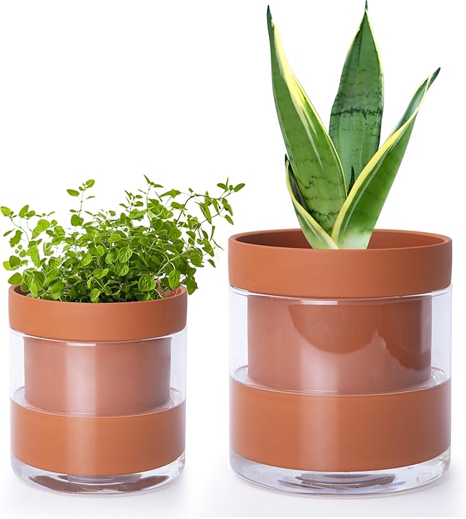 Phoenix Vine 4 Inch 6 Inch Self Watering Planter Pots, Terracotta Clay Pots by Phoenix+Vine