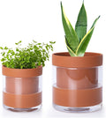 Phoenix Vine 4 Inch 6 Inch Self Watering Planter Pots, Terracotta Clay Pots by Phoenix+Vine