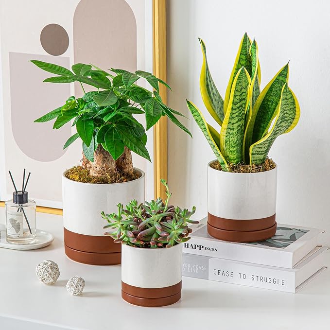 vancasso Ceramic Plant Pots, 3 Piece Planters - Image 8