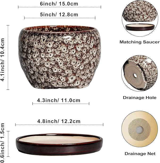 SQOWL Ceramic Plant Pots - Image 3