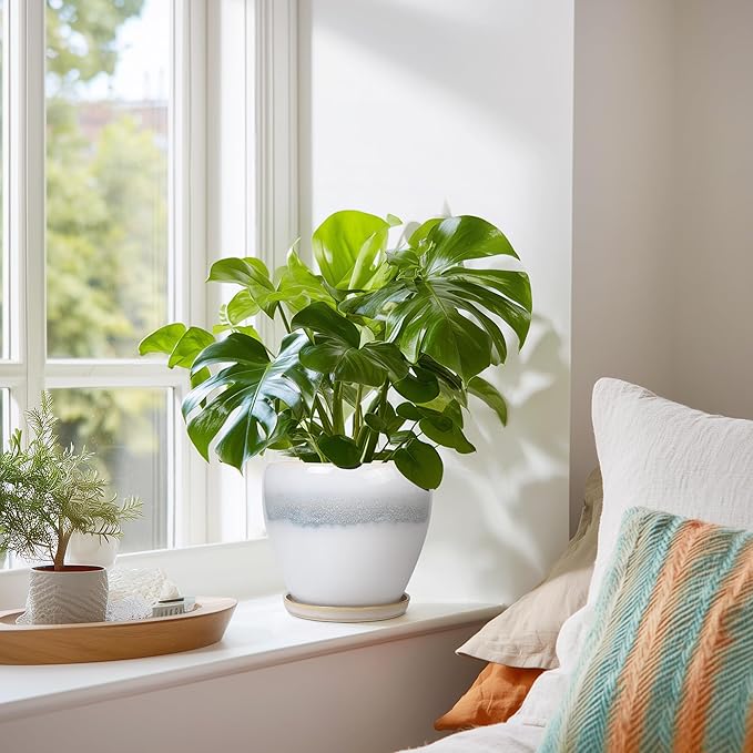Ceramic Plant Pot - Image 6