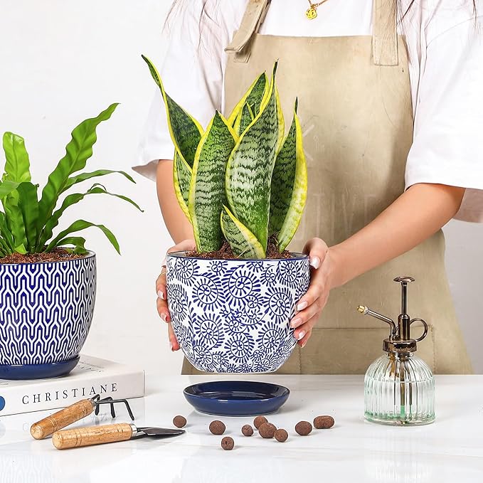 Selamica Ceramica Plant Pots, 6.5 Inch Flower Pots Set of 2 - Image 6