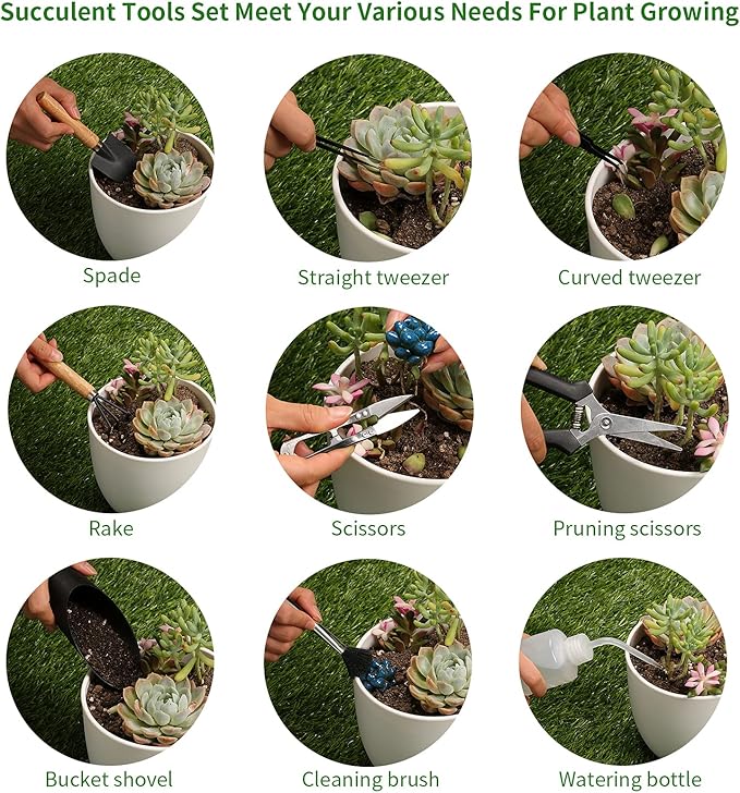 11Pcs Succulent Tools, Mini Garden Tools, Succulent Watering Tool as Plant - Image 3