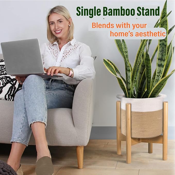 ZPirates Plant Stand for Indoor - Image 4