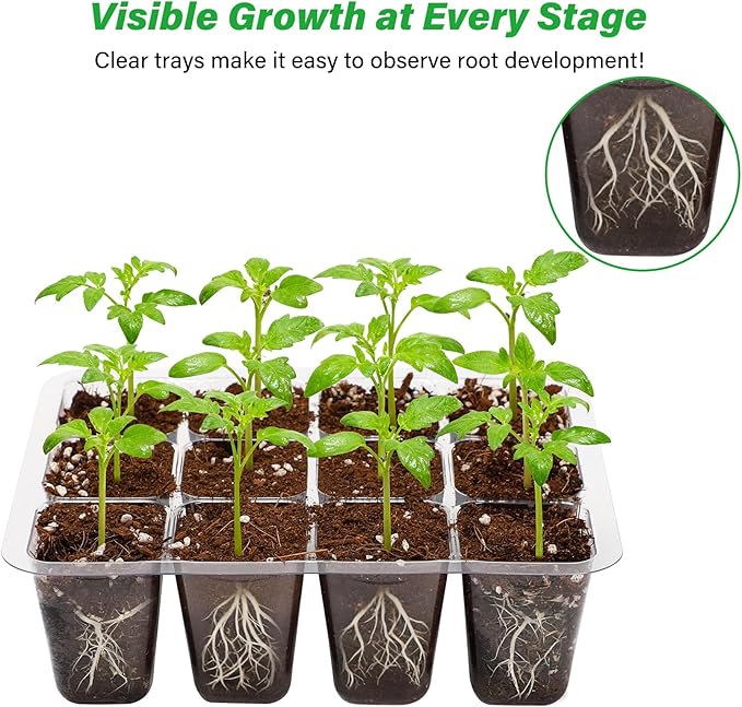 Bonviee 12 Packs Seed Starter Tray - Image 2