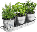 Barnyard Designs Indoor Herb Garden Planter Set by BarnyardDesigns