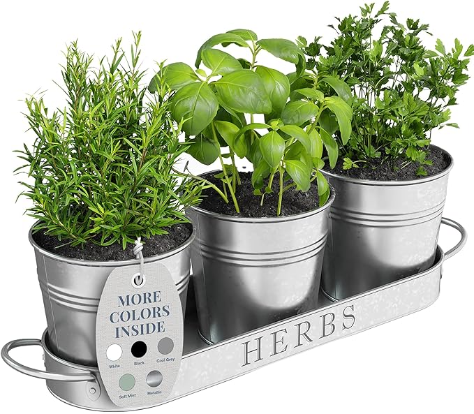 Barnyard Designs Indoor Herb Garden Planter Set by BarnyardDesigns