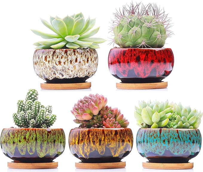 Cute Ceramic Succulent Garden Pots, Planter by LamDawn
