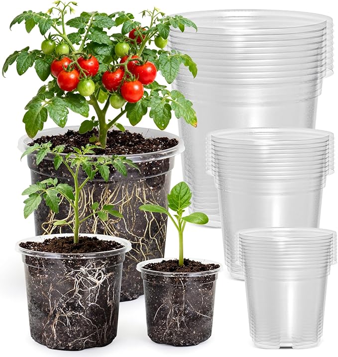MIXC Clear Nursery Pots with Drainage Holes, 7/5/4 Inch Reinforced Transparent by MIXC