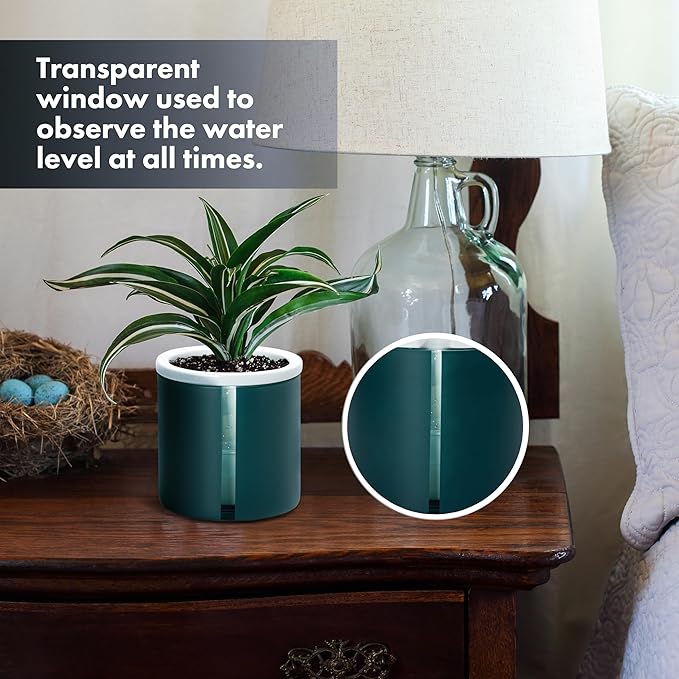 D'vine Dev 4 Inch Design Self Watering Planter - Image 2