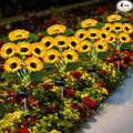 Solar Lights Outdoor Garden Decor, 4 Pack by EDOF