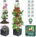 Raised Garden Bed Tomato Planter by MYMULIKEHOME