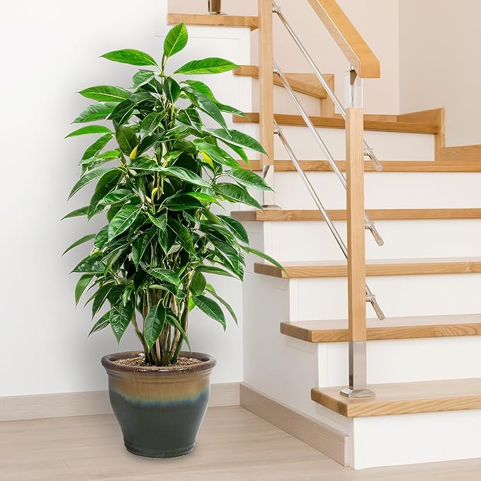 Sunnydaze Large Ceramic Plant Pot - Image 9