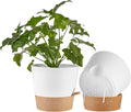 FaithLand 2-Pack 10 Inch Planter Pots by FaithLand