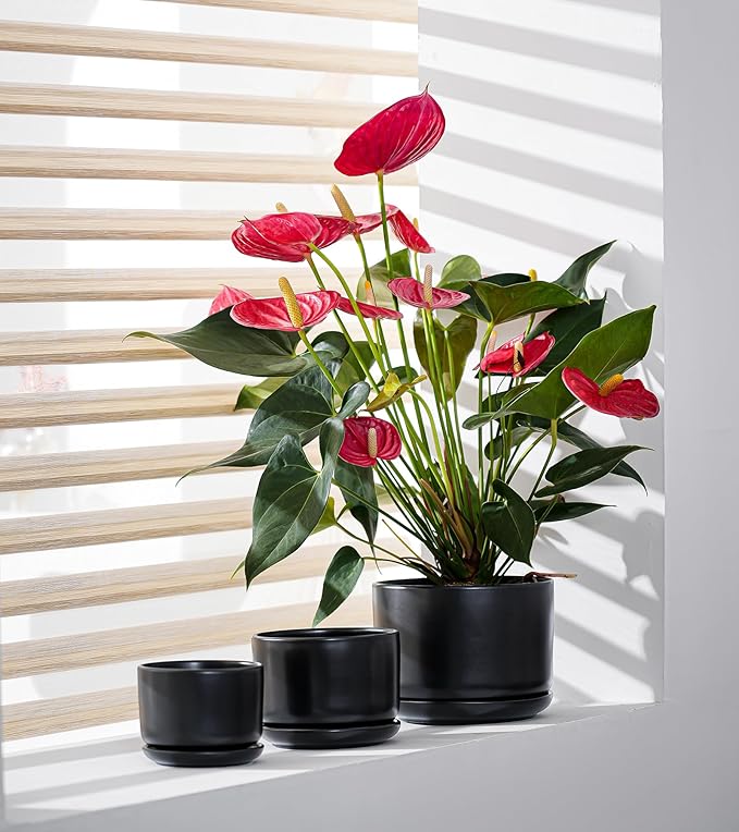Ton Sin Plant Pots, 4.1+5.1+6.5 inch, Ceramic Planters - Image 6