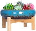 Succulent Pots - Large Succulent Planters Pots by ARTKETTY