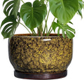 SQOWL 10 Inch Plant Pot by SQOWL