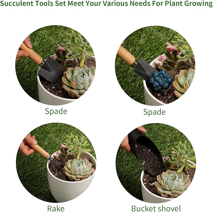 5Pcs Succulent Tools, Mini Garden Tools, Plant Potting Mat as Plant Accessories - Image 3