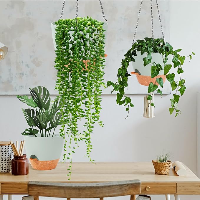 GARDIFE Hanging Planter, 10 inch Hanging planters - Image 6
