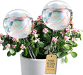 Large Extra-Thick Clear Glass Plant Watering Globes, Rainbow Gradient Self by SoilaguaDirect