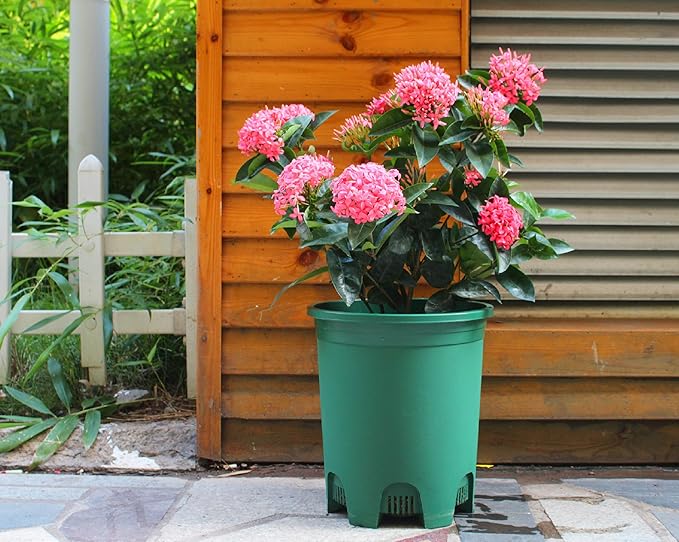 5 Gallon 10-Pack Green Nursery Pot Black Plastic Planters - Image 5