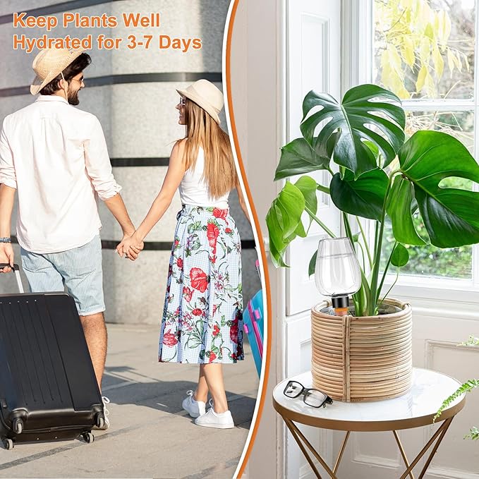 8 Pcs Plant Watering Globes Self Watering Planter Insert Plants Top Fill Water - Image 4