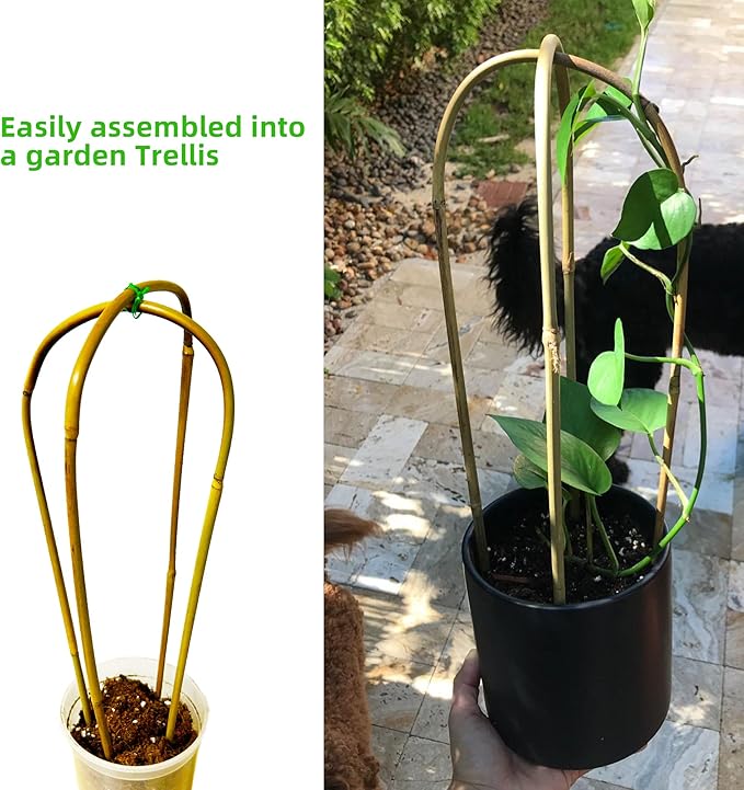 Avalution 16" Natural Bamboo Plants Trellis U-Hoop, Bamboo Gaeden Trellis - Image 4