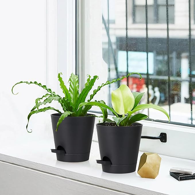 5 Pack 5 inch Self-Watering Pots, African Violets Planter - Image 7