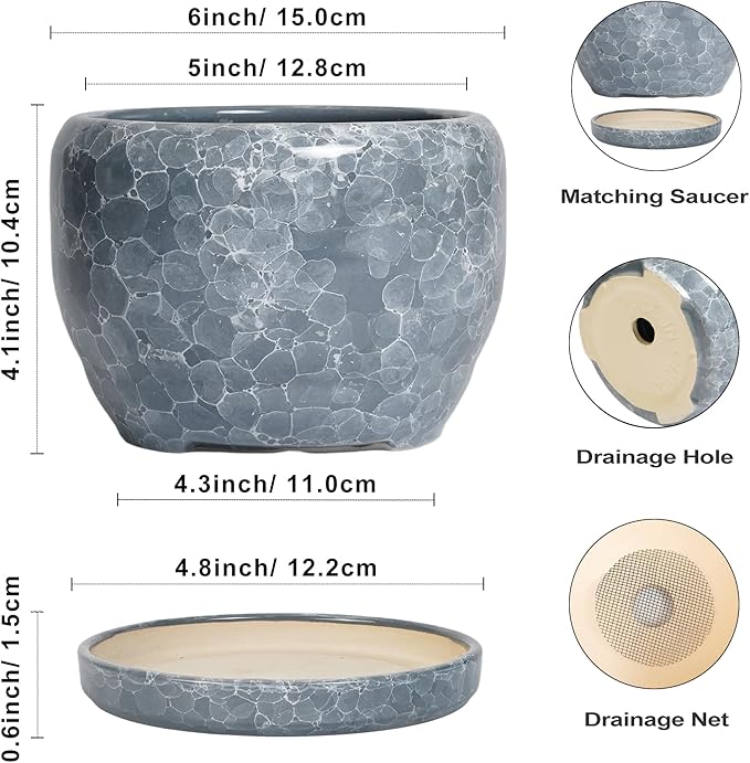 SQOWL 6 Inch Plant pots Indoor - Image 3