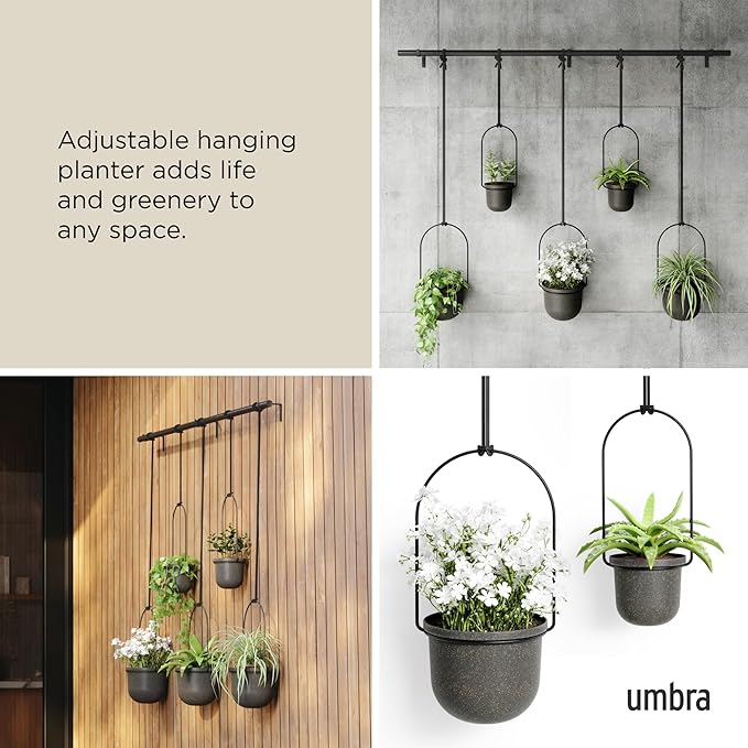 Umbra Triflora Hanging Planter for Window, Indoor Herb Garden - Image 4