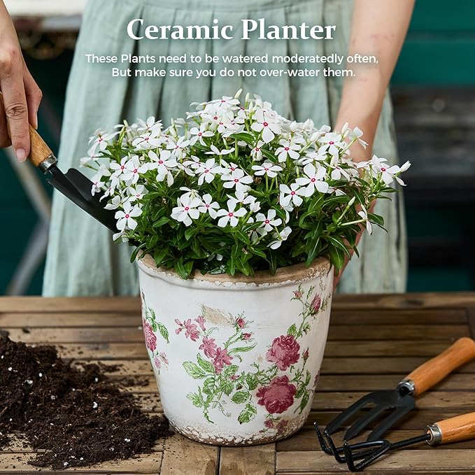 Vintage Ceramic Planter with Drainage Hole, Plastic Tray & Mesh, 6.5 Inch - Image 2