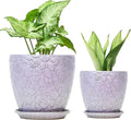8 Inch + 6 Inch Retro Ceramic Planter Set of 2 by Bestseler