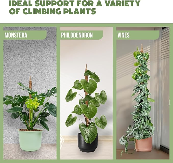 2 Pack 48" and 28'' Bendable Moss Pole Monstera Plant Support - Image 4