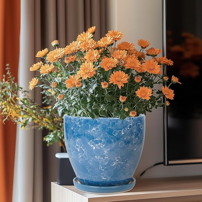 8 Inch Plant Pot - Image 2