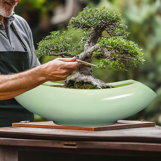 Ceramic Bonsai Pots - Image 8
