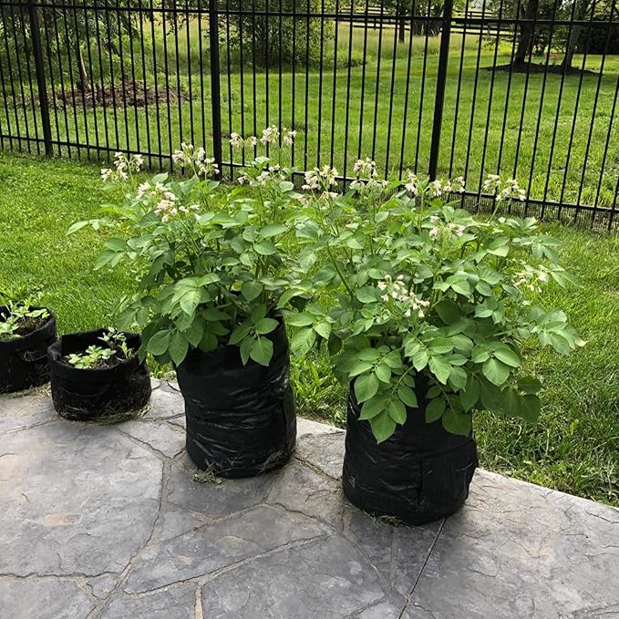 JJGoo 2 Pack 10 Gallon Garden Potato Grow Bags - Image 8