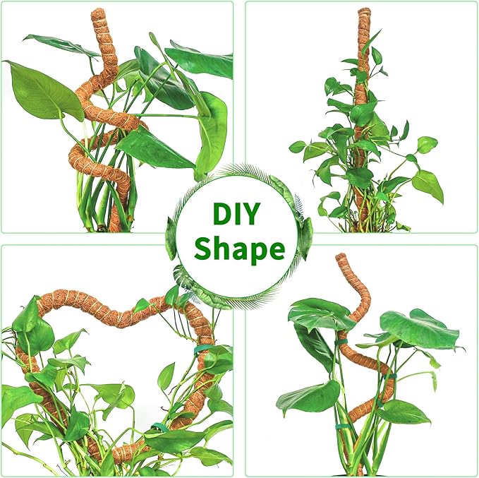 2 Pack 60 Inch Moss Pole Monstera Plant Support, Coir Moss Poles - Image 5