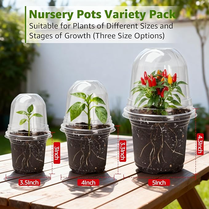 MIXC Clear Nursery Pots with Humidity Domes, 5/4/3.5 Inch Reinforced - Image 7