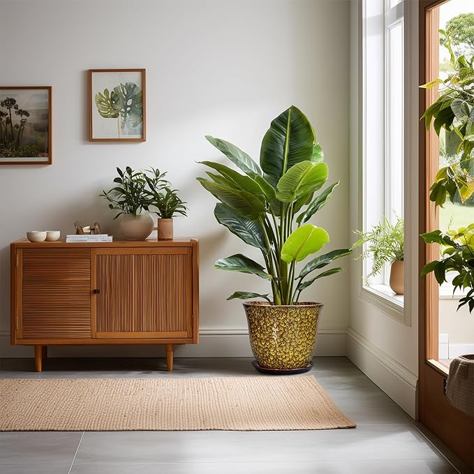 Ceramic Pots for Plants - Image 3