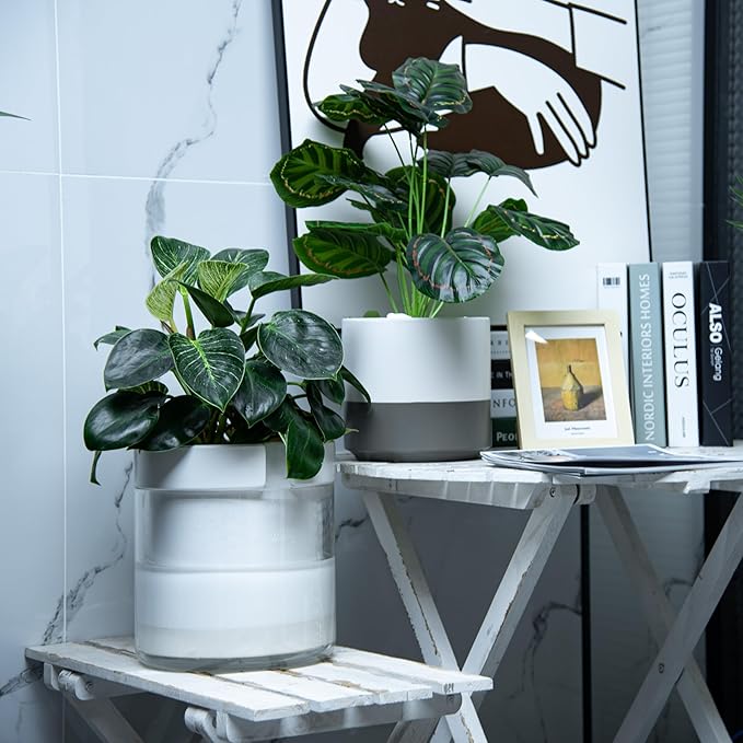 Phoenix Vine 8 Inch Self Watering Planter - Image 6