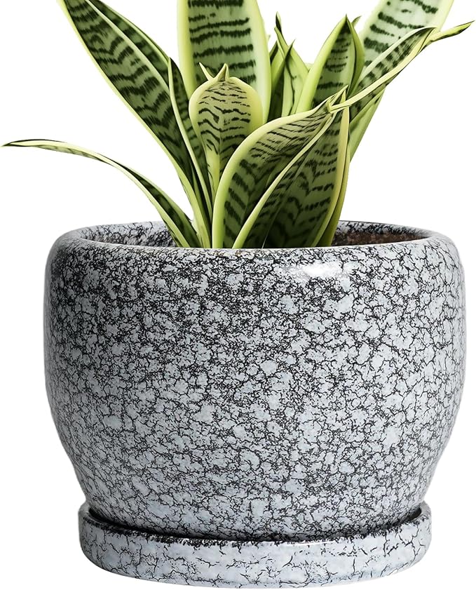 SQOWL Ceramic Pot for Plants by SQOWL
